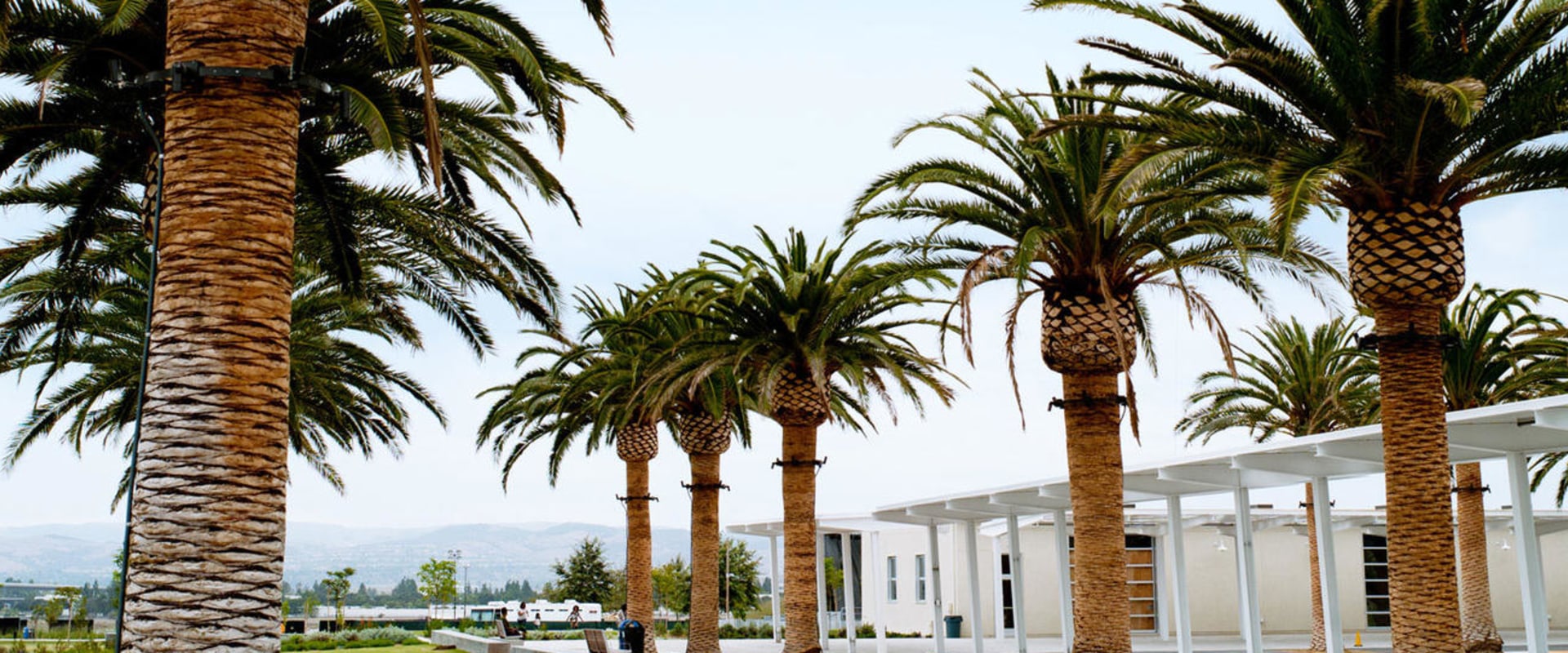 What is the Average Rainfall in Irvine, California's Wildlands?