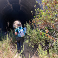 Protecting the Threatened Habitats of Irvine, California