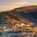 Protecting Wildlands in Irvine, California: A Vital Step for Wildlife Preservation