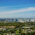 Invasive Plant Species: Understanding and Controlling the Damage in Irvine, California