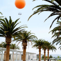What is the Average Rainfall in Irvine, California's Wildlands?