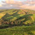 Exploring the Wildlife Haven of Irvine, California's Open Space Reserve