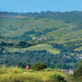 Exploring the Wildlands of Irvine, California: A Guide to the City's Natural Wonders