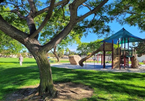 Exploring the Natural Wonders of Irvine, California