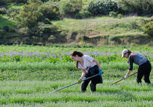 Explore the Incredible Volunteer Opportunities at Irvine Ranch Wildlands