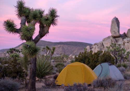 Camping in the Wildlands of Irvine, California: An Expert's Guide