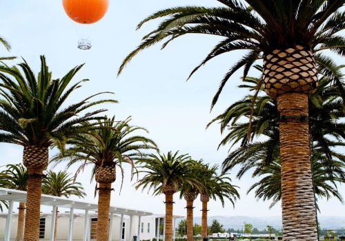 What is the Average Rainfall in Irvine, California's Wildlands?