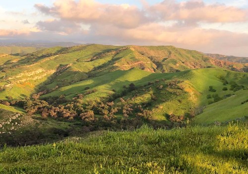 Exploring the Wildlife Haven of Irvine, California's Open Space Reserve