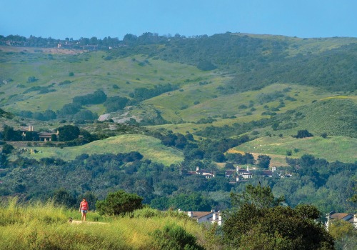 Exploring the Wildlands of Irvine, California: A Guide to the City's Natural Wonders