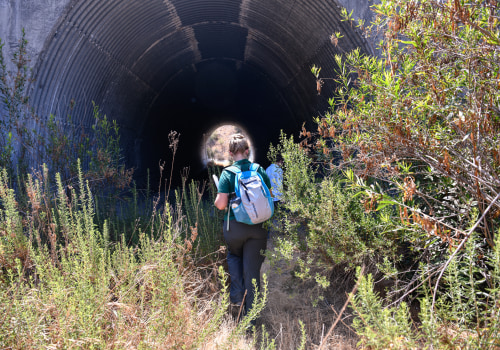 Protecting Endangered Species in Irvine, California: A Comprehensive Guide