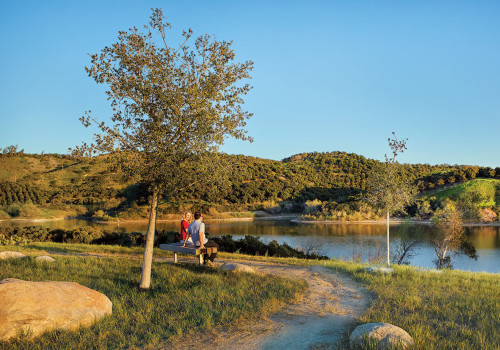 Exploring the Rare Habitats of Irvine, California